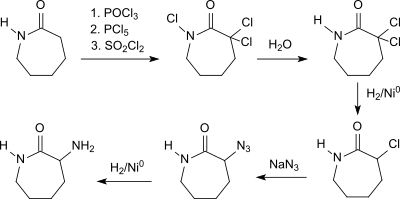 Aminocaprolactam über Trichlor-Caprolactam
