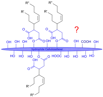 Postulierte ASA-Reaktion mit Cellulose
