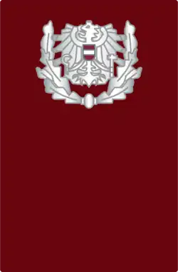 Bundespolizei Österreich Aufschubdistinktionen 2015 E2c.png