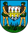 Wappen von Schwechat