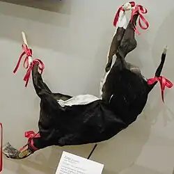 Żaqq, eine maltesische Sackpfeife aus einem Kalbfell