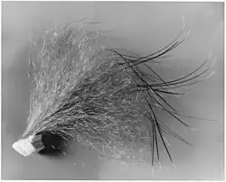 Seal-Fellstückchen, das weiche Unterhaar und das überstehende Grannenhaar