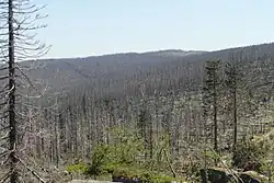 Blick auf die tschechische Seite des Dreisesselberges
