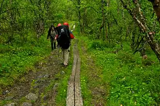 Wegstück im Nationalpark Abisko