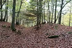 Abschnittswall Plein Vorwall mit Vorgraben