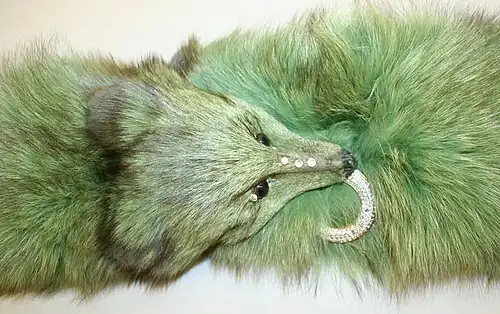 Kopf eines gefärbten Blaufuchskolliers (Revillon Frères, etwa&nbsp;1960)