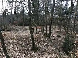 Burgstallberg III. Kleines südliches Burgstallplateau