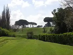 Der dritte Abschlag ist blind zwischen die Pinien auf ein erhöhtes und nach links hängendes Fairway zu spielen.