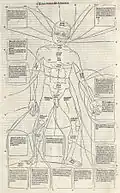 Fasciculus Medicinae. Venedig 1491[67]