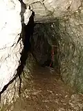 Die Höhle Adleraugeloch auf 2505&nbsp;m&nbsp;ü.&nbsp;M. ist die höchstgelegene bekannte Höhle in Obwalden und ist über den Klettersteig Rigidalstockwand erreichbar