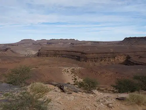 Blick in den Amogjar-Canyon, dessen Steilwände die Schichtstufen des Adrar-Plateaus vor dessen abgeflachten Gipfeln zeigen, in den Taleinschnitten grünende Akazien