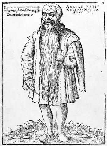 Adrianus Petit Coclico