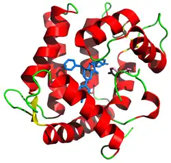 Aequorin-1 (Aequorea victoria)