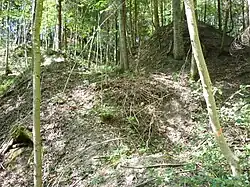 Abgesackte Gesteinsmassen als erodierte Hügel