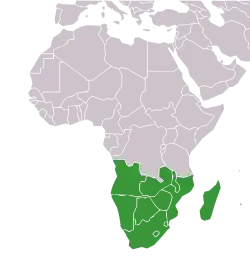 Mitglieder der COSAFA