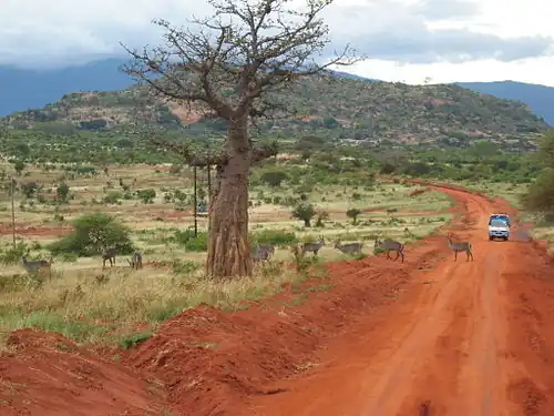 Tsavo-Parks und Chyulu-Hills-Komplex