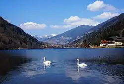 Afritzer See Blickrichtung Westen