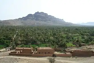 Oasenlandschaft bei Agdz