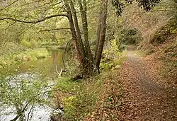 Der am Fluss entlangführende Ahrsteig