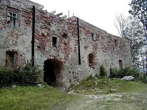 Südseite der Burg mit Wandsicherung aber noch ohne Dach (1999)