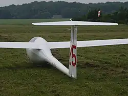 B) T-Leitwerk der fs25