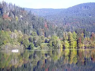 Der Albstausee unterhalb von St. Blasien