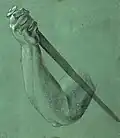 Formstrich. Albrecht Dürer: Arm mit Dolch, 1508