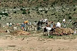 Friedhof am Rande von Dukathole