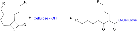 Reaktion von Alkylketendimeren (AKD) mit Cellulose