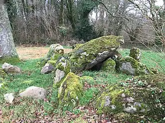 Allée Couverte de Kernescop