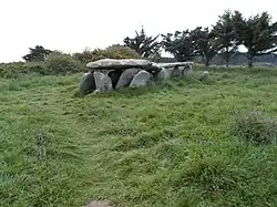 Allée couverte Ty-Lia auf der Île-Grande