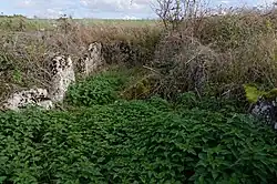 Allée couverte von Copierres