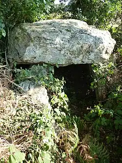 Allée couverte de La Roche aux Fées de la Brousse