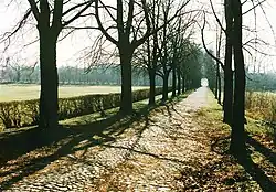 Heidgrabener Str. (Langes Tannen), die Kastanienallee