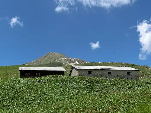 Alp Schmorras, im Hintergrund der Piz Settember.