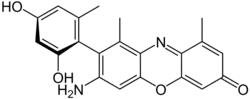 α-Amino-orcein