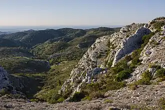 Blick auf die Alpilles bei St-Remy-de-Provence