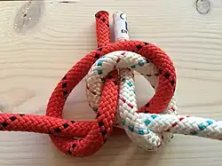 Gesteckter Schmetterlingsknoten. In der Detailbetrachtung erkennt man zwei ineinander verflochtene Überhandknoten, die mit einer Abwandlung (Endlage der losen Enden) dem Zeppelinknoten gleichen.