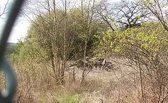 Turmhügelrest und Steinhaufen mit behauenen Steinen
