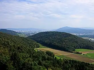 Blick auf die Hasleren mit Zürich im Hintergrund vom Aussichtsturm Altberg aus gesehen