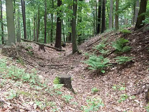 Blick in den Wallgraben Richtung Süden