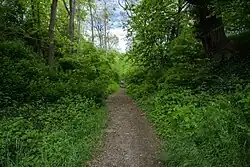 Die Alte Mayener Hohl in Andernach ist heute ein Rückzugsort für die Tier- und Pflanzenwelt mitten in der Stadt.