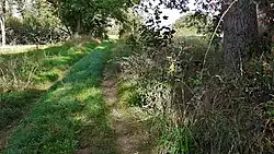 Alte Plauer Landstraße Richtung Sagel