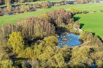 Blick von Burg Blankenstein auf ein Feuchtgebiet in der Ruhraue