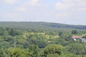 Der Altenmarkskopf vom Kahlgrund bei Alzenau gesehen