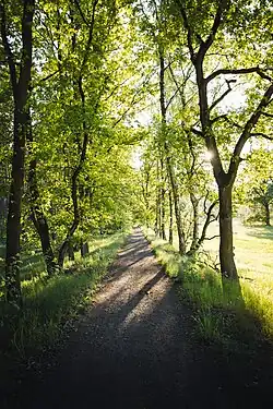 Radweg auf den „Alten Bahndamm“ nahe Küsel.