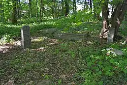 Blick auf die Gräber