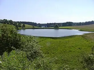 Alter Wasserläufer Teich, Ansicht von Nordosten