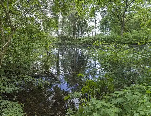 Westlicher Weiher