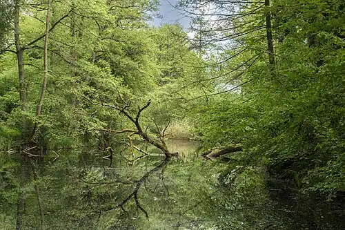 Westlicher Weiher
